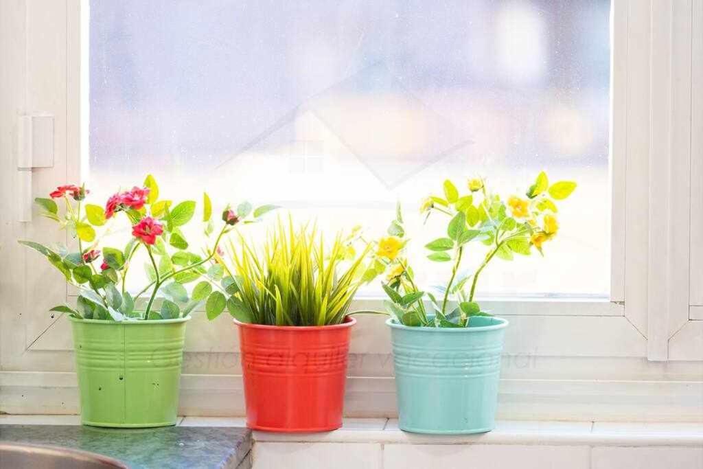 Colours Apartamento Oviedo Ngoại thất bức ảnh